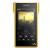 SONY-NW-WM1Z